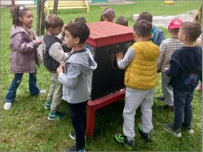 02 p1 dete 02 06 2025