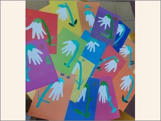 Кокиче 24 02 2026