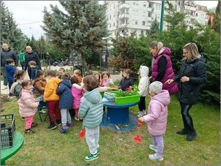 Садиме цвеќиња во дворот на градинката 19 03 2026