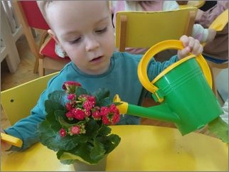 Садиме пролетно цвеќенце 19 03 2026